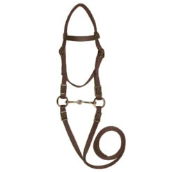 Triple E Mini Bridle With Bit -Horse Supply Store l triple e mini bridle brown 97255.1610913784.1280.1280