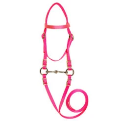 Triple E Mini Bridle With Bit -Horse Supply Store l triple e mini bridle hot pink 14376.1610913784.1280.1280
