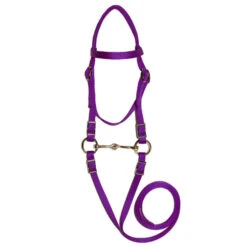 Triple E Mini Bridle With Bit -Horse Supply Store l triple e mini bridle purple 22900.1610913785.1280.1280