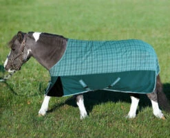 TuffRider 1200D Mini Turnout Blanket, Two-Tone Teal Plaid, 36'' - 56''