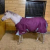 Weatherbeeta Comfitec Premier Freedom Pony Medium Turnout, 48" - 69" -Horse Supply Store l wb comfitec permier freedom std neck IMG 5460 43074.1633316914.1280.1280