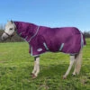 Weatherbeeta Comfitec Premier Freedom Pony Detach-a-Neck Turnout Sheet, 48" - 69" 1 Weatherbeeta Comfitec Premier Freedom Pony Detach-a-Neck Turnout Sheet, 48" - 69" -Horse Supply Store l wb premier dan slipper fieldIMG 5737 19027.1669820522.1280.1280