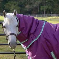 Weatherbeeta Comfitec Premier Freedom Pony Detach-a-Neck Turnout Sheet, 48" - 69" -Horse Supply Store l wb purple navy mint detach a neck closeup of slipper DSC 5584 11371.1633221652.1280.1280