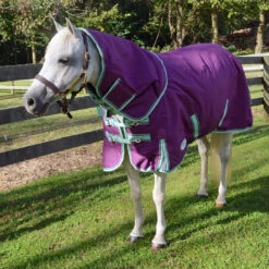 Weatherbeeta Comfitec Premier Freedom Detach-A-Neck Medium Turnout, 48" - 69" -Horse Supply Store l wb purple navy mint detach a neck on slipper DSC 5588 96573.1634589230.1280.1280