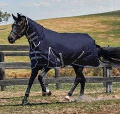 Weatherbeeta Comfitec Essential Medium Combo, Navy/Silver/Red, 48" - 69"