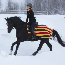 Rambo Newmarket Fleece Pony Quarter Sheet -Horse Supply Store l whitney gold quarter sheet on horse 88984.1547774803.1280.1280