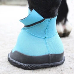 Woof Wear Medical Boot, Sizes 0 - 6 -Horse Supply Store l woof wear medical boot back 42208.1490215669.1280.1280