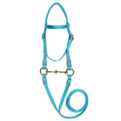 Triple E Mini Bridle With Bit -Horse Supply Store triple e mini bridle turquoise 51800.1610913785.1280.1280