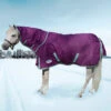 Weatherbeeta Comfitec Premier Freedom Detach-A-Neck Medium Turnout, 48" - 69" -Horse Supply Store wb premier dan slipper SNOW IMG 5737 03881.1669820668.1280.1280